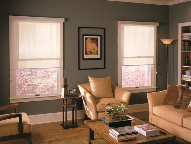 Roller shades