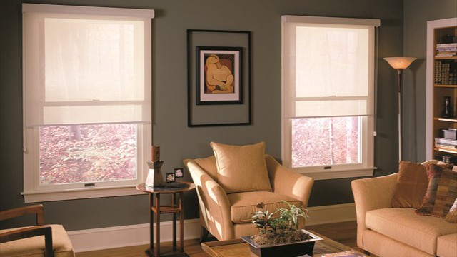 Roller shades
